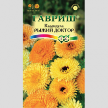 Календула Рыжий доктор