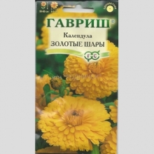 Календула Золотые шары