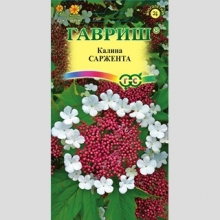 Калина Саржента