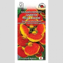 Кальцеолярия Даинти Ред&Еллоу F1