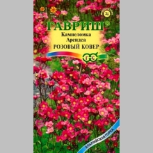 Камнеломка Розовый ковер