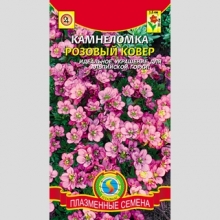 Камнеломка Розовый ковер