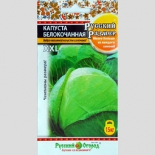 Капуста Русский размер XXL (белокочанная)