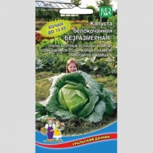 Капуста Безразмерная