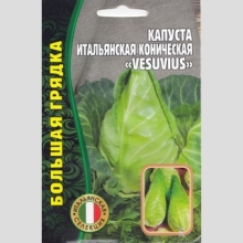 Капуста бк Итальянская коническая Vesuvius