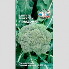 Капуста Мадонна F1 (брокколи)