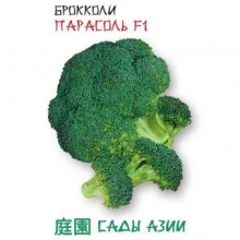 Капуста Парасоль F1