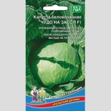 Капуста Чудо на засол F1