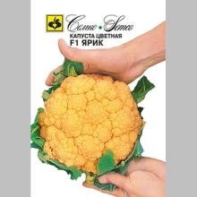 Капуста Ярик F1 цветная