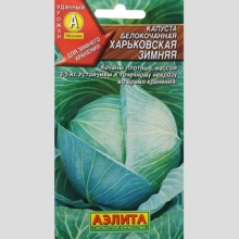 Капуста Харьковская Зимняя