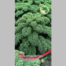 Капуста Кадет курчаволистная
