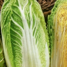 Капуста Бокал (пекинская)