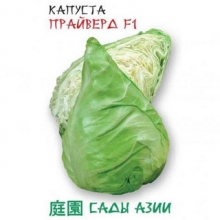 Капуста Прайверд F1