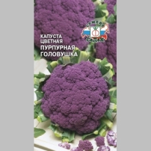 Капуста Пурпурная головушка цветная