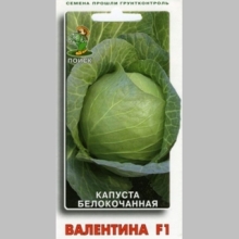Капуста Валентина F1