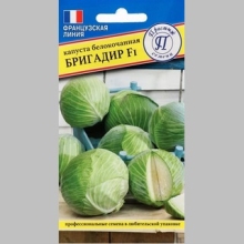 Капуста Бригадир F1