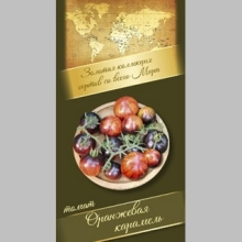 Томат Оранжевая карамель