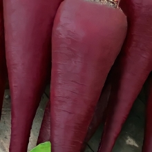 Свекла Карамельная