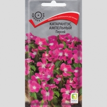 Катарантус Персей (ампельный)