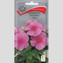 Катарантус Султан