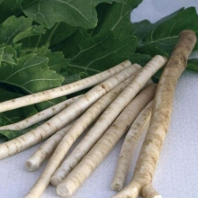 Катран к Холодцу (хрен)