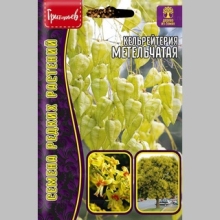 Кельрейтерия Метельчатая (большой пакет)