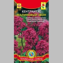 Кентрантус Малиновый звон