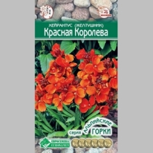 Хейрантус Красная Королева (Желтушник)