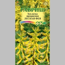 Хохлатка Лесная фея (прекрасная)