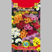 Хризантема Индийская смесь