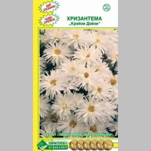 Хризантема Крейзи Дейзи