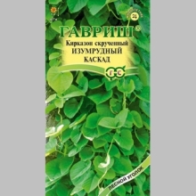 Кирказон Изумрудный каскад (скрученный)