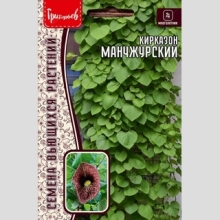 Кирказон манчжурский (большой пакет)