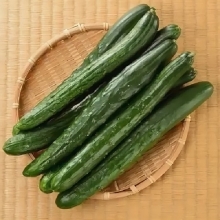 Огурец Китайские палочки F1