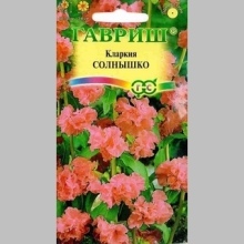 Кларкия Солнышко