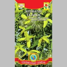 Клематис Гелиос