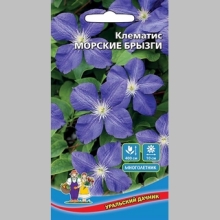 Клематис Морские брызги