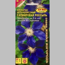 Клематис Сапфировая россыпь (цельнолистный)