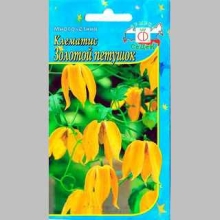 Клематис Золотой петушок