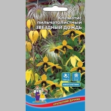 Клематис Звездный Дождь пильчатолистный