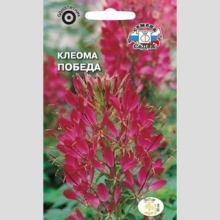 Клеома Победа