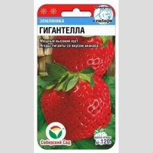 Земляника Гигантелла