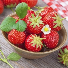 Клубника Красная Королева (большой пакет)