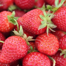Земляника Королева Елизавета (клубника)