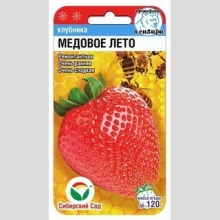 Земляника Медовое лето (клубника)