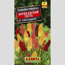 Книфофия Африканский гость смесь сортов