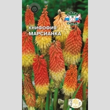 Книфофия Марсианка (ягодная)