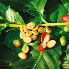 Кофе арабика Нана