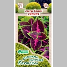 Колеус Гипноз