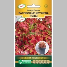 Колеус Расписные Кружева Розы